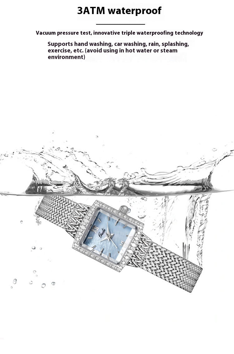 Luxury Square Plate Quartz Watch