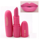 Matte Moisturizing Lipstick